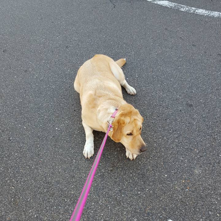 97e8e459 caa2 49e0 ab42 77133da4cf4b