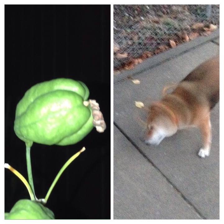 97e9086d 3cbb 494a b17d 18247ebce1da