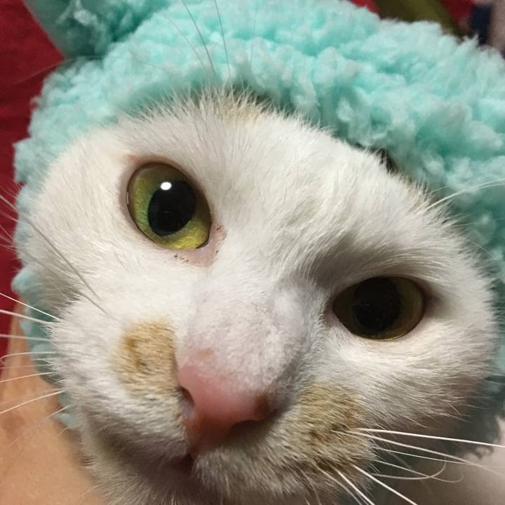 97e94916 da32 4caf b298 935ddbf6b4c3