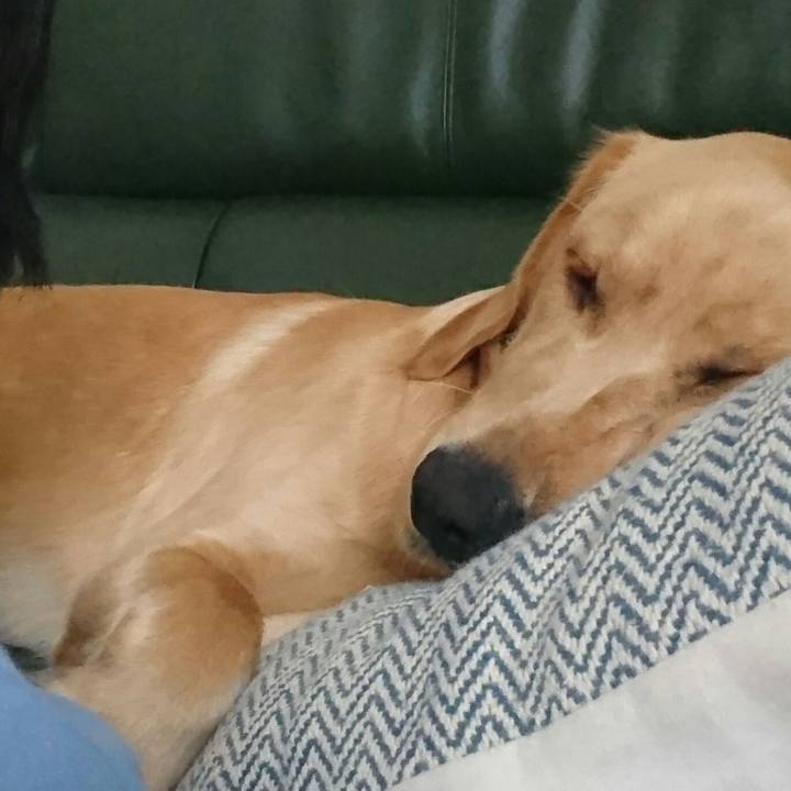 97e98f44 af3e 41d1 8ba9 7735b3775909