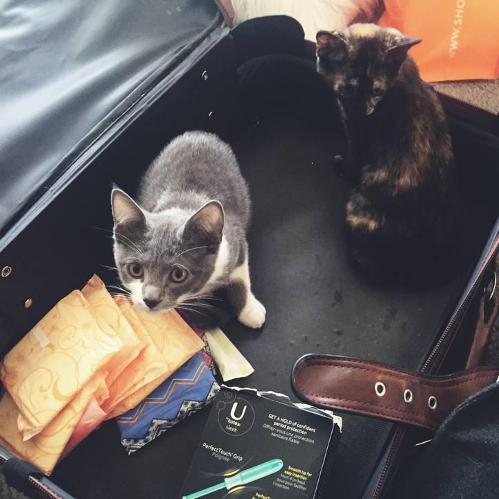 97ea19ff a004 4fb9 970c ac5a8b3343d7