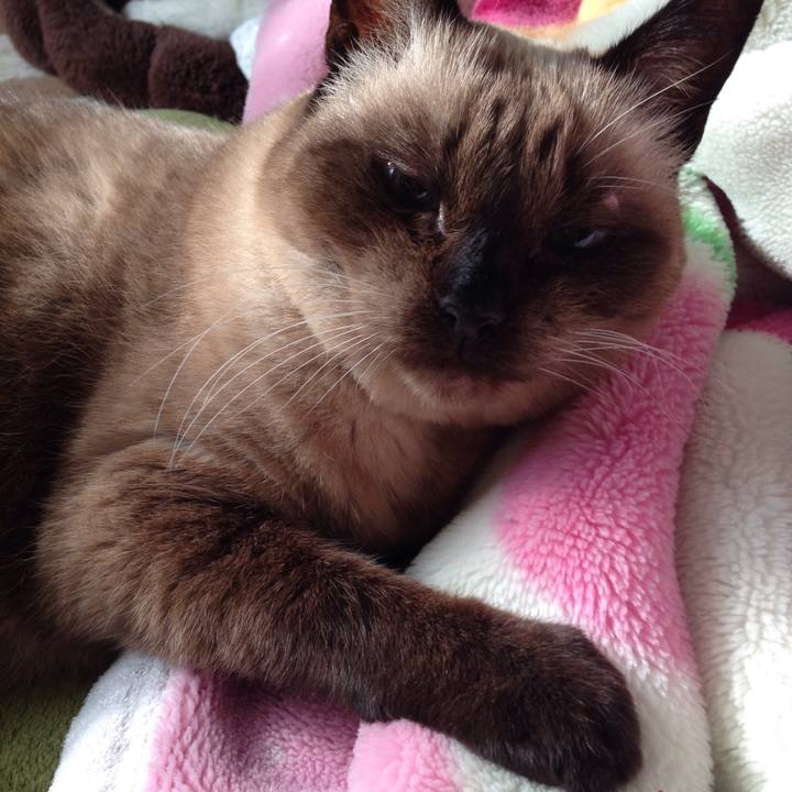 97ea3fb7 9157 4902 b944 92b5863986ed