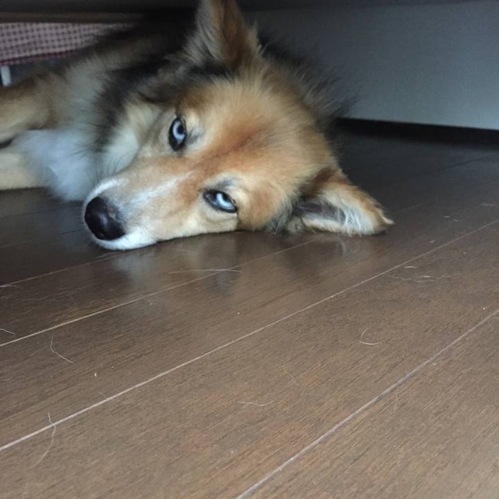 97ea7608 ce48 446a a6ce 0ef995e4b671