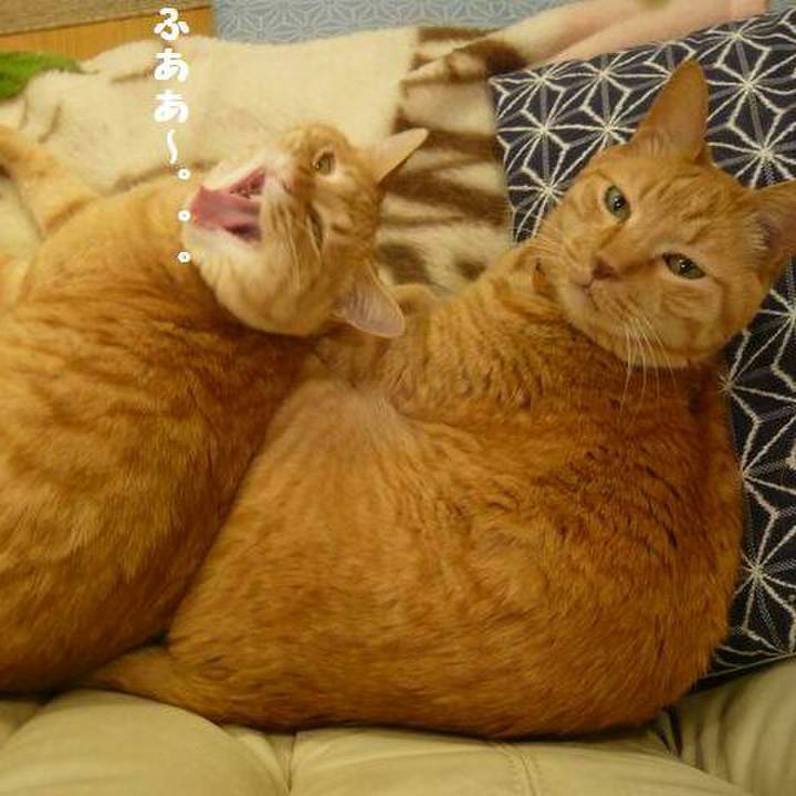 97eaac64 b666 4701 bab9 93ef7761f1bd