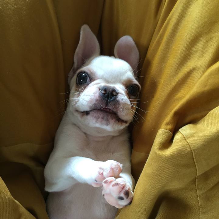 97eb558d 63e5 4a9e ae24 3896b6c57b2b