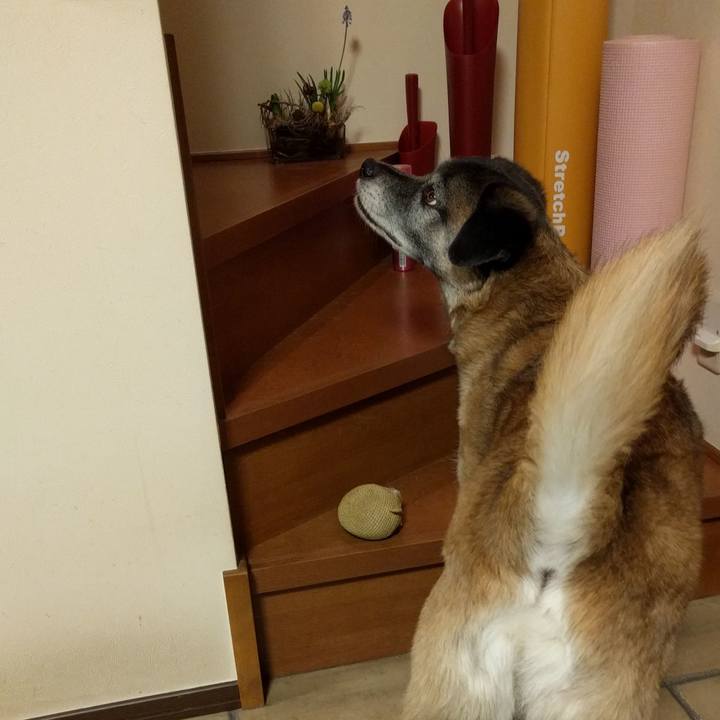 97ebb9ee 1429 476e 98d2 0d2900706ff4