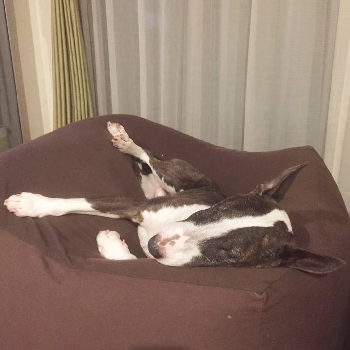 97ec259c 8cfa 4e38 9978 03a4e7f290d5