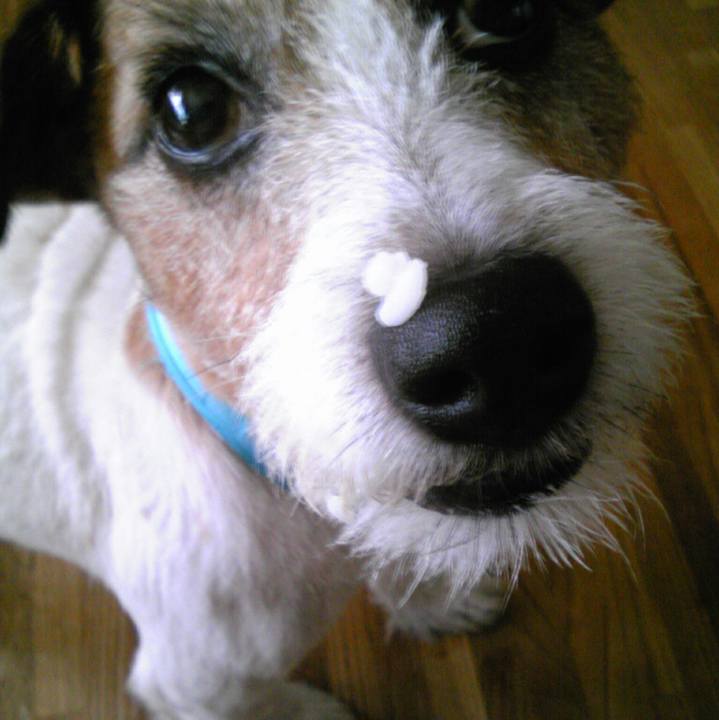 97ec573c 373f 4d33 8ce5 5a8d5b0d8a53