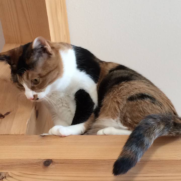 97ec8868 8764 469d 90f8 18994ee77366