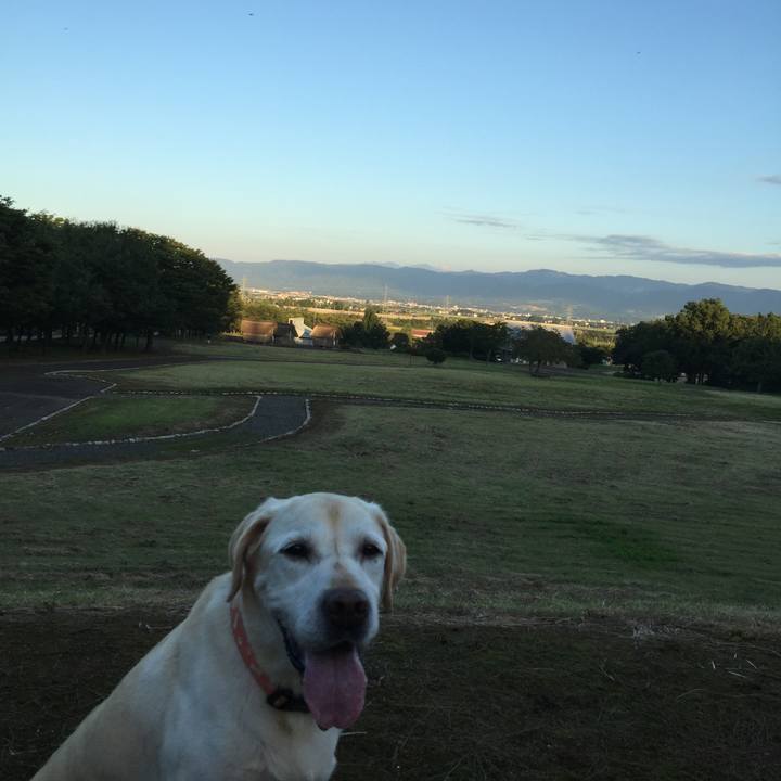 97ecb775 3977 47f0 804d 9c18e4a26310