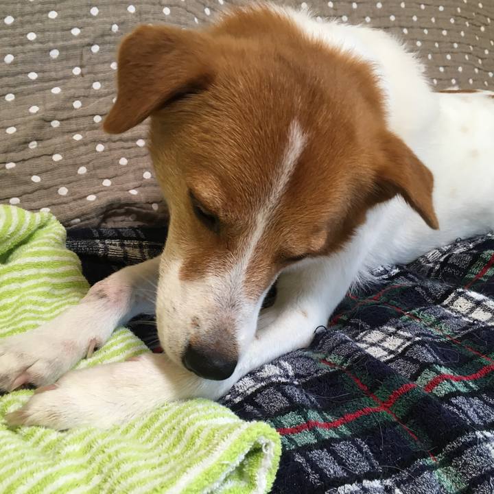 97ecc479 20de 4373 b7a3 5a2ae40edb80