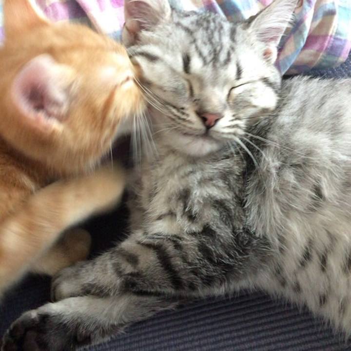 97ed1865 9c13 4c9d 82f0 af44ca51b233