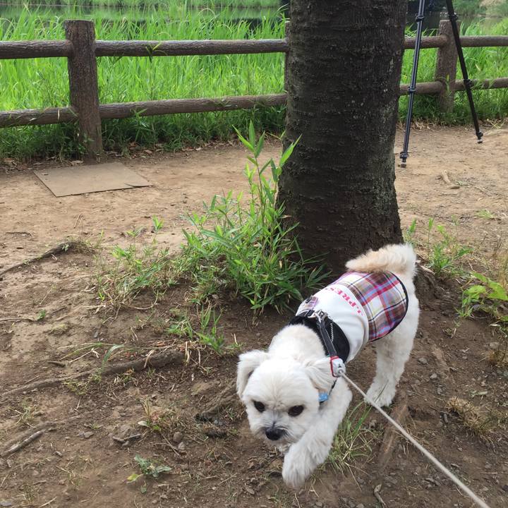 97ed4e9b d99f 4ea1 bf6b 26d8c0e7462f