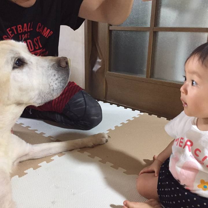 97eda4ce a427 4094 891d cbfb45169bd9