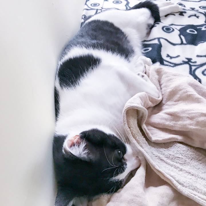 97ee686e 6128 4d7d ba43 b8c0d617a0f3