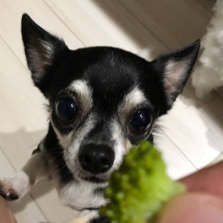 97ee82d1 c859 4060 a073 569d4bf48a36