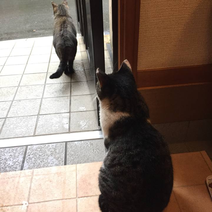 97ee947f 5faf 4cba baa8 fa8b39f7440c