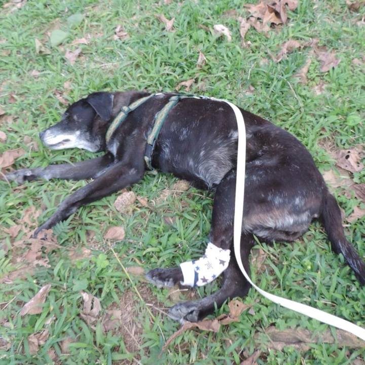 97eef7fa 8143 424d 8348 9f68b3cc1ebb