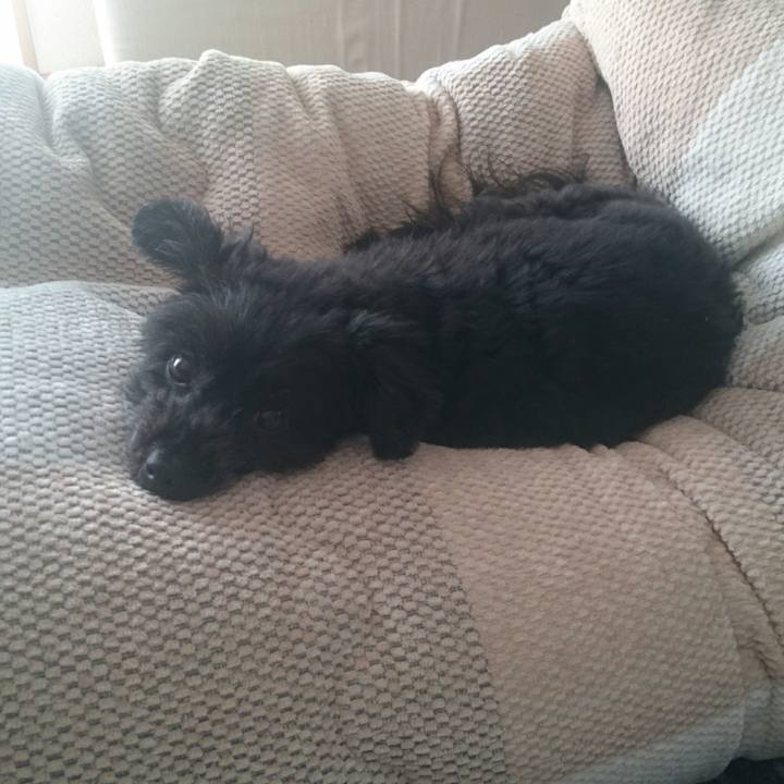 97ef70a6 7fc7 45bc bcf9 a0d2f0af25e0