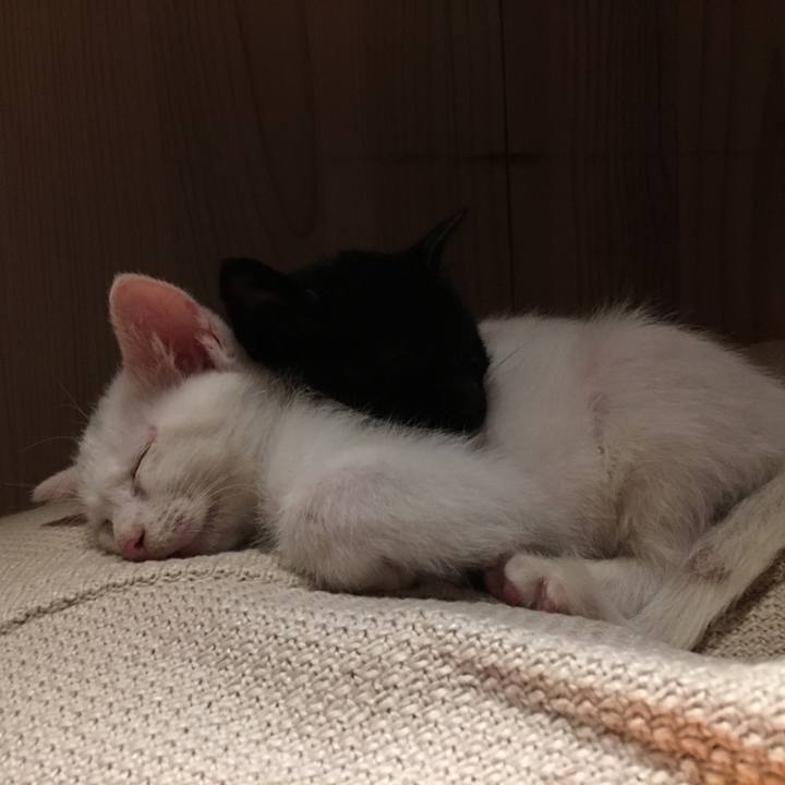 97ef7fe2 49af 4d81 9cee d8f6bbbefadf