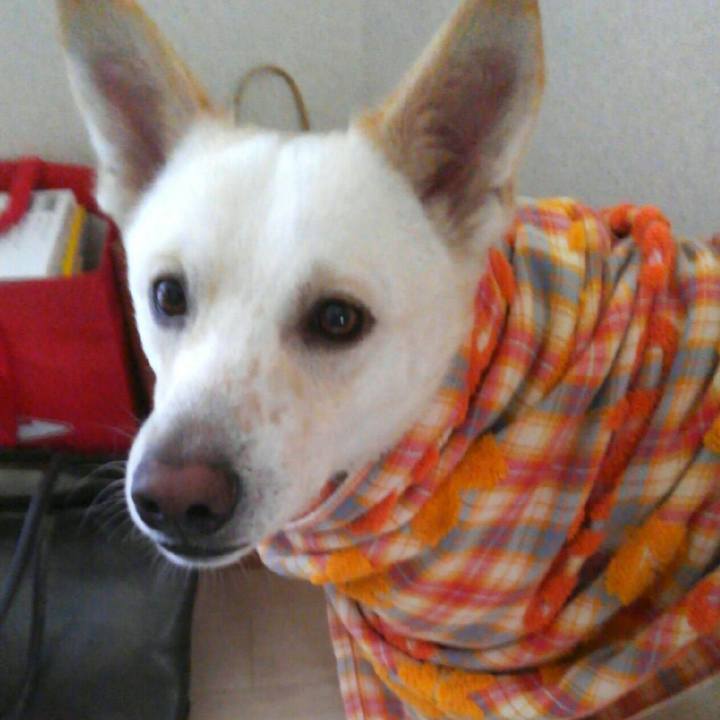 97ef8e63 77ca 44fc 9609 af9245c3c782