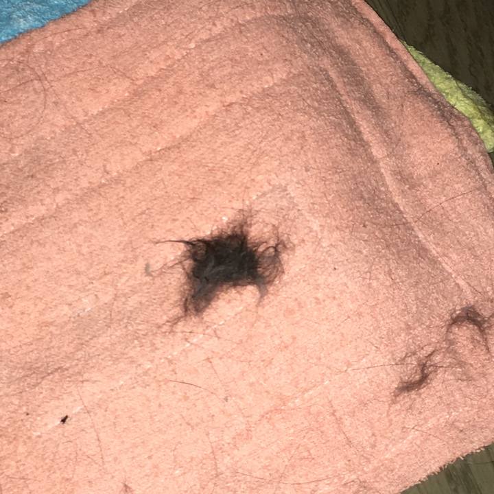 97f1237a 8a92 4e30 b3d6 e2e12f6dc2d0