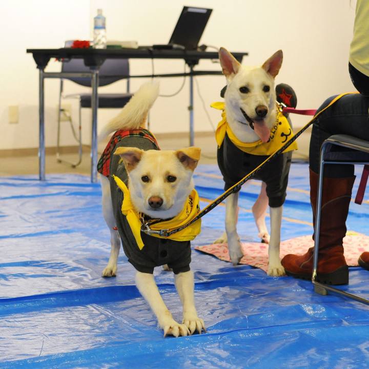 97f12c6d 1456 4621 a0f0 82ac656c8f25