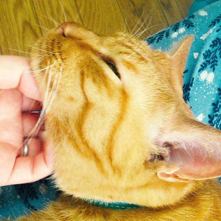 97f18625 34e3 40e5 bcad 2504d538ff4c