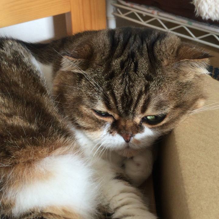 97f1b8b4 6010 409a 97fe aa981fe39e6d