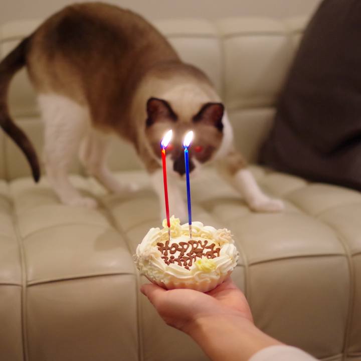 97f1c753 102a 42c4 a331 5b035a0ab490