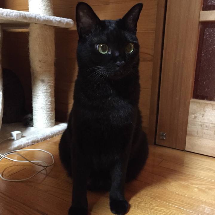 97f2abca a484 4dc8 8485 75d527688cd5