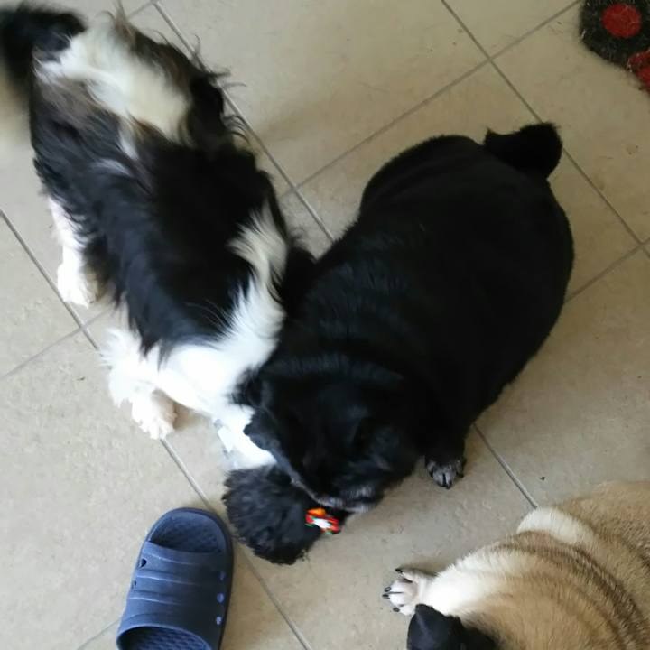 97f2c1a6 3f49 400a b676 9ec40e3d3e14