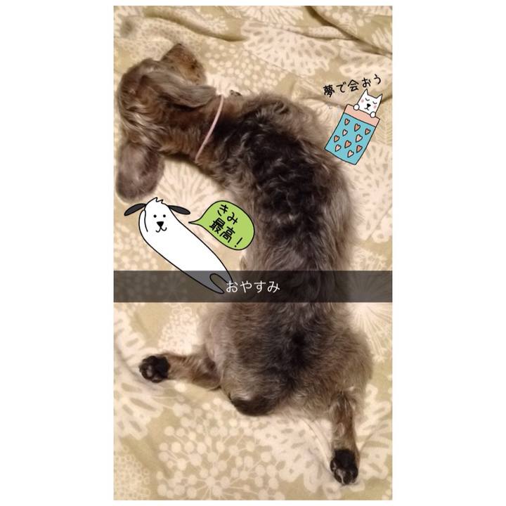 97f2e46d 6546 41f8 92ec 1e2d1b1f3b0e