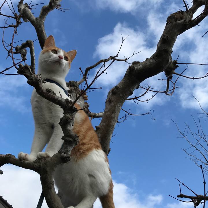 97f31a0f b85e 43d0 8e79 6427ab0a3130