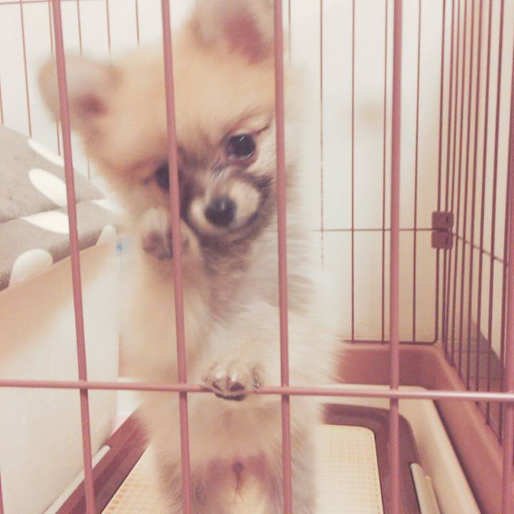 97f3ff28 facb 4275 9afd 283da7b26ebd