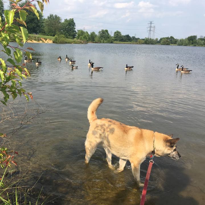 97f42d09 516b 47e4 84ac f20b93df78f3