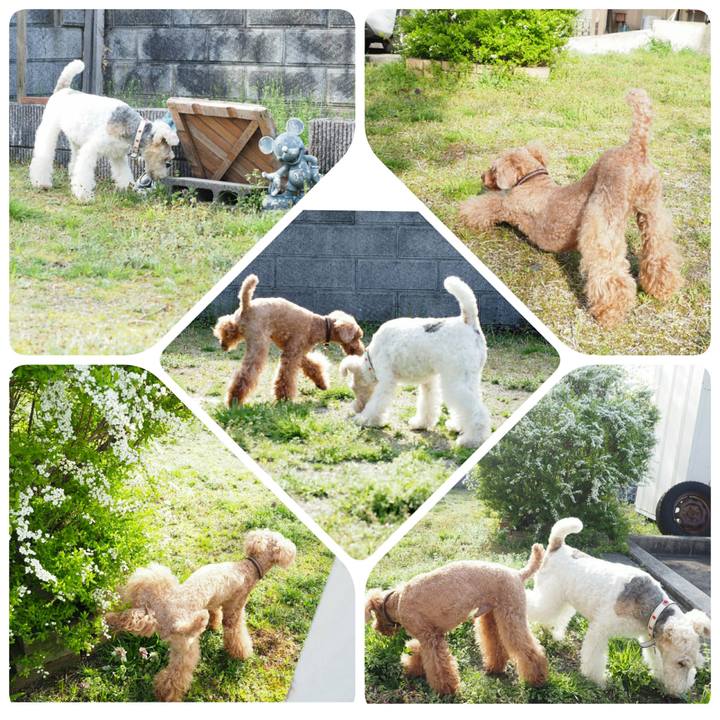 97f47a5b 07a6 46e6 b000 c0cc3d1fcb42