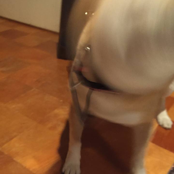 97f4d9da c7d6 4f97 b74b 32daf4fd07cd