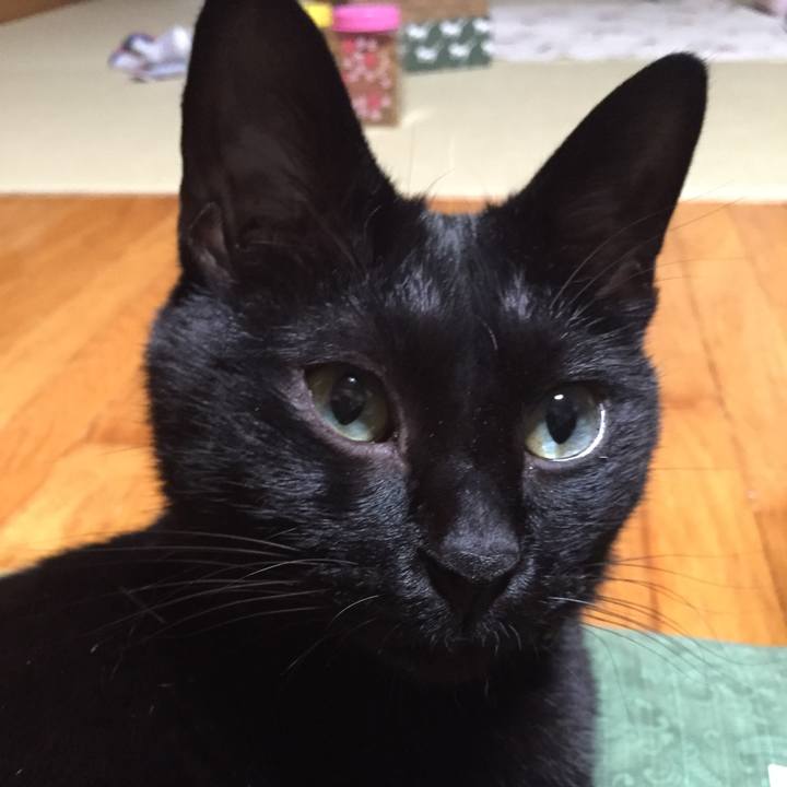 97f4dd34 1673 4417 bb55 190306891474