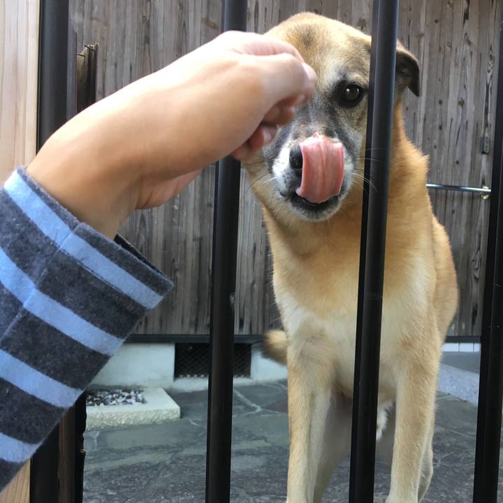 97f4e381 514c 4fac 82a6 6ef1c254cb53