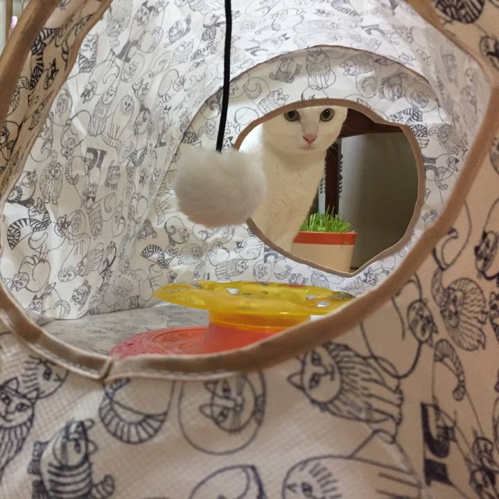 97f4e9d8 37a9 4c6e ab97 a1aedb0b2f81