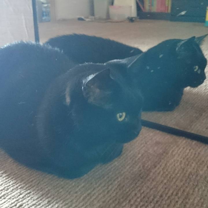 97f54ec5 fd95 4aed 91e7 44520c1217ab