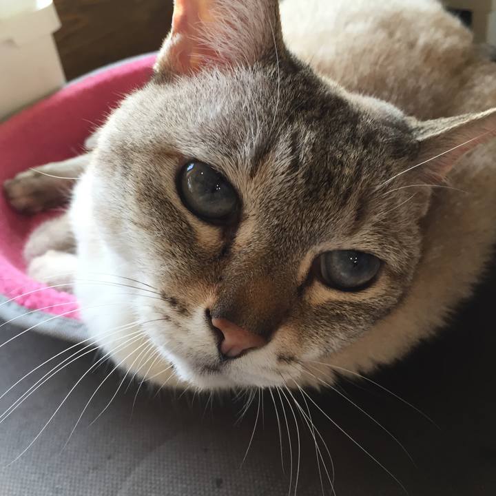 97f56894 8cae 480a bf26 d178235fe512