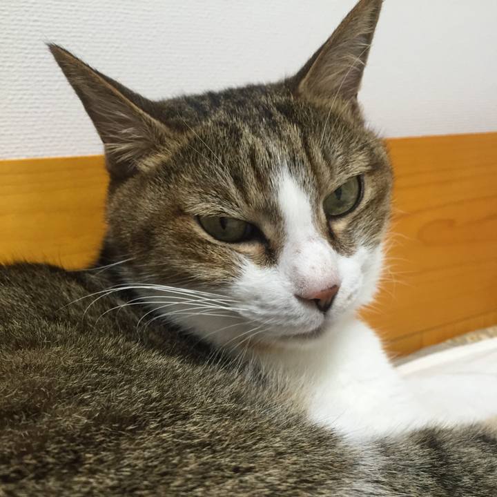 97f6049d fa5d 4444 a240 addc5ba2a28f