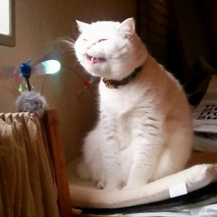 97f6a9d2 2b5f 4839 83ff 43e530463f7f