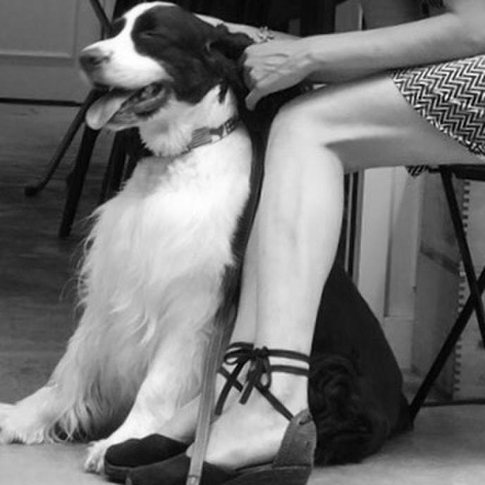 97f742b4 3e28 483a 92ab e5e3299fc026