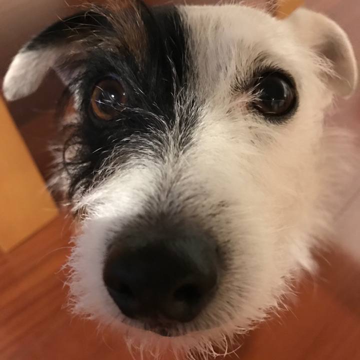 97f7809a 7dbf 4924 aec0 41e4fc007555