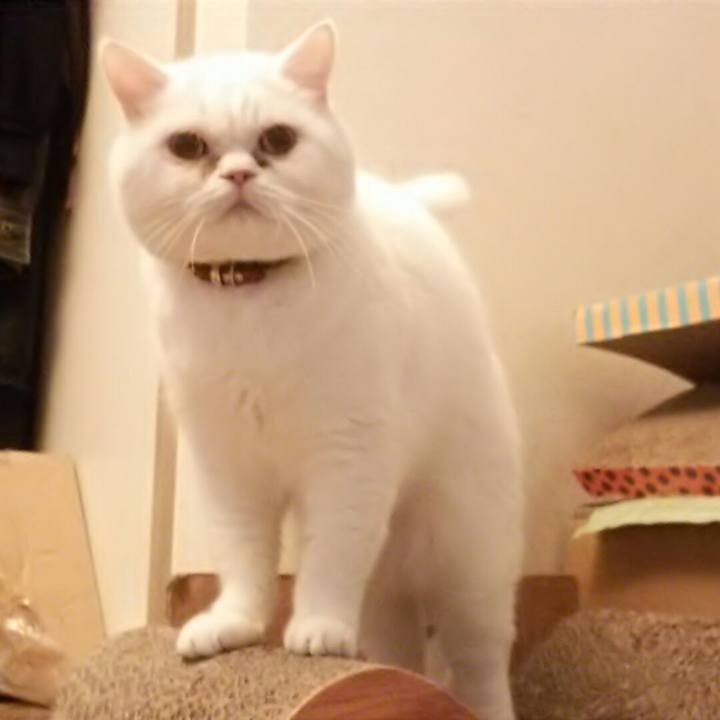 97f7c57e bed1 4bf5 8224 7945164fd64e