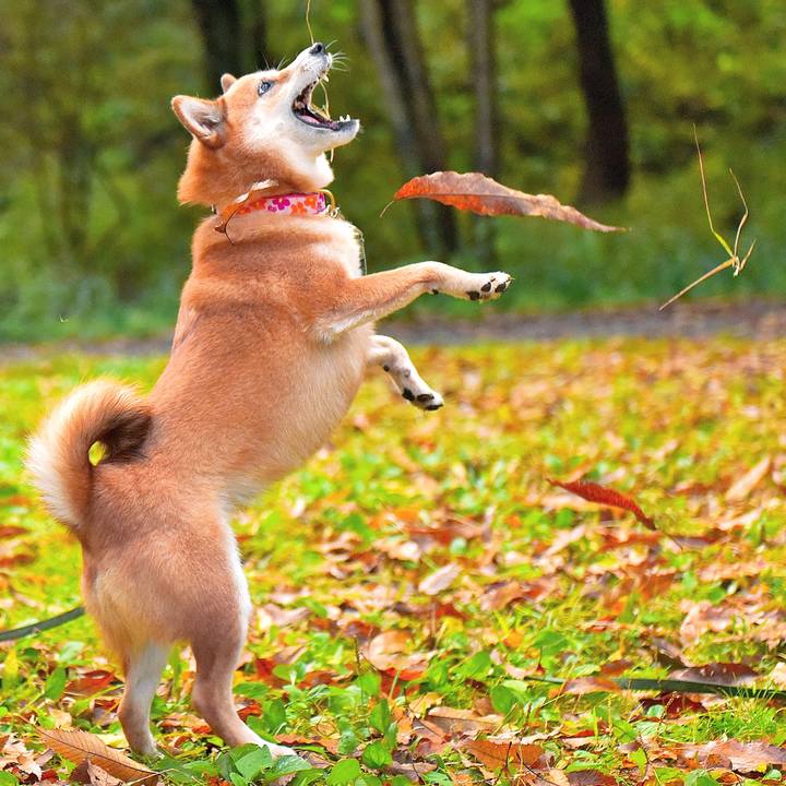 97f837a1 8697 4982 a169 8c8db455aea4