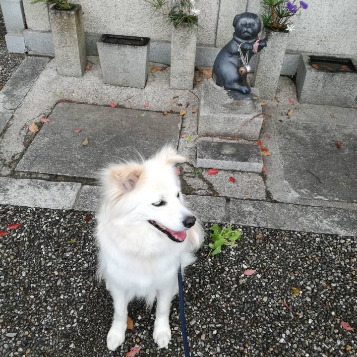 97f8a56a 4641 4b5f 8a55 83623d16d1f5